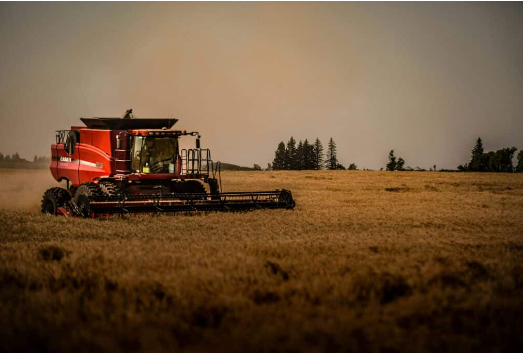 Agriculture